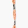 Luca-S 008 borduurgaren 8 meter ( DMC 353/20 / Anchor 6 )