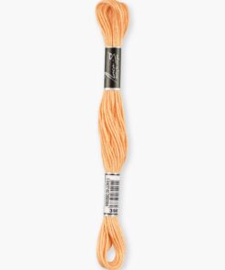 Luca-S 398 borduurgaren 8 meter ( DMC 3825 / Anchor 1047 )