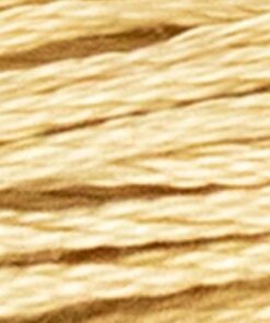 Luca-S 447 borduurgaren 8 meter ( DMC 738 / Anchor 372 )