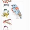 Luca-S Bird Paris wenskaart borduren SP-100