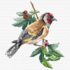 Luca-S Goldfinch Bird B1197