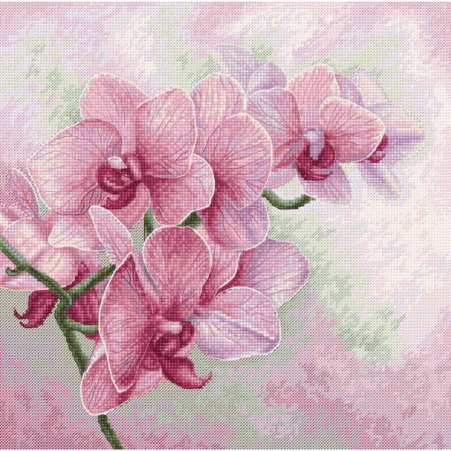 Luca-S Graceful Orchids B7009