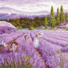Luca-S Lavender Field BU5008