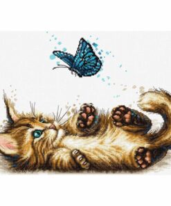 Luca-S Playful Kitten B7013