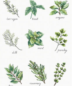 Luca-S Spices and Herbs B2345