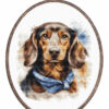 Luca-S The Dachshund borduren (pakket) BC222 inclusief borduurring