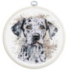 Luca-S The Dalmatian BC208 inclusief borduurring