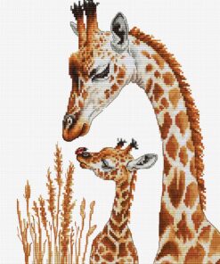 Luca-S Meeting with a Ladybug BU5072