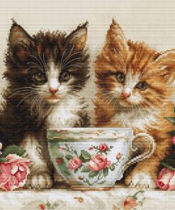 Luca-S Morning of the Cats GOLD BU5070