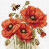 Luca-S The Splendor of Summer Poppies B7042