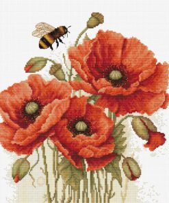 Luca-S The Splendor of Summer Poppies B7042