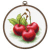 Luca-S Cherries borduren (pakket) BC103