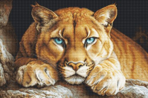 Luca-S The Wild Spirit GOLD BU5081