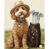 Luca-S The Master Golfer BU5090