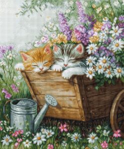 Luca-S Kittens' Sleep BU5093