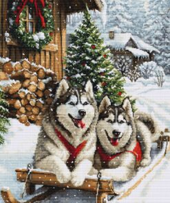 Luca-S The Magic of the Nordic Winter B722