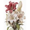Luca-S The scent of Lilies B7054 borduren (pakket)