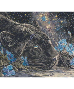 Leti Stitch L9984 Starry Dreams