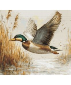 Luca-S Golden Flight GOLD B730 borduren (pakket)