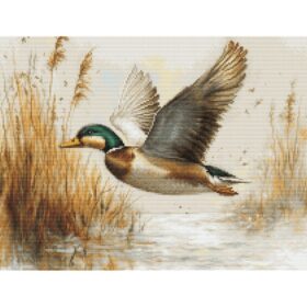 Luca-S Golden Flight GOLD B730 borduren (pakket)